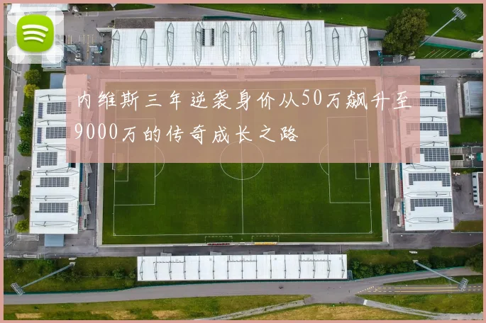 内维斯三年逆袭身价从50万飙升至9000万的传奇成长之路