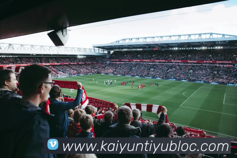 App Interface Preview