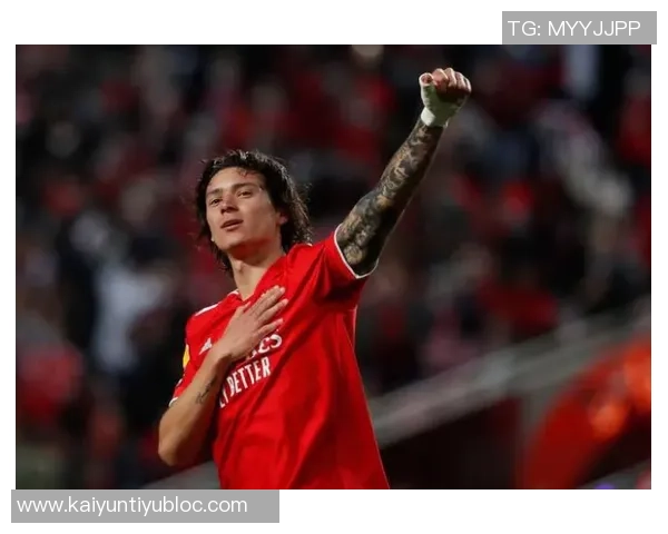 纽卡斯尔有意引进21岁欧塞尔中场达努瓦樱桃报价遭拒绝